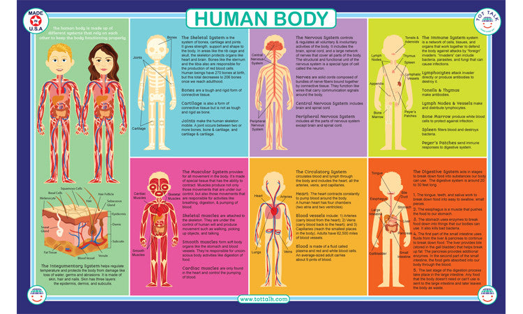 Human Body Placemat