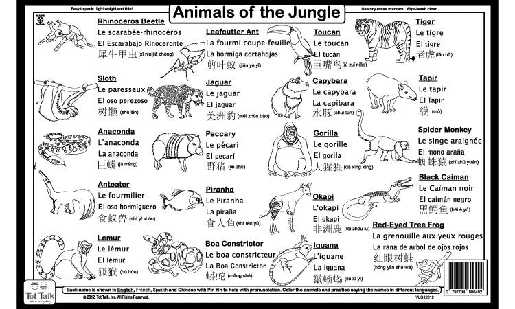 Explore the Jungle Placemat