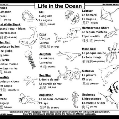 Ocean Placemat Back