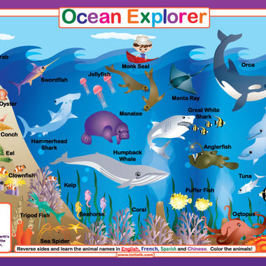 Ocean Explorer Placemat