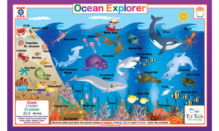 Ocean Explorer Placemat