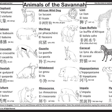 Savvanah placemat back